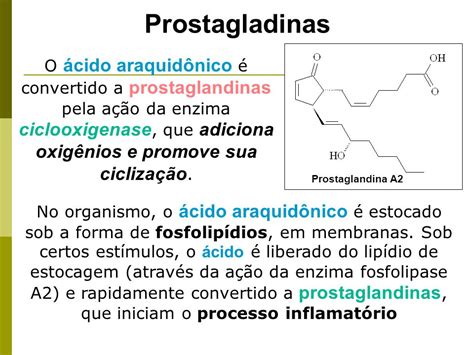 prostaglandina o que é